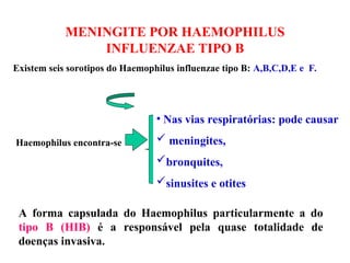 MENINGITE POR HAEMOPHILUS
INFLUENZAE TIPO B
Existem seis sorotipos do Haemophilus influenzae tipo B: A,B,C,D,E e F.
Haemophilus encontra-se
• Nas vias respiratórias: pode causar
 meningites,
bronquites,
sinusites e otites
A forma capsulada do Haemophilus particularmente a do
tipo B (HIB) é a responsável pela quase totalidade de
doenças invasiva.
 