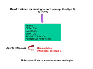 Quadro clínico da meningite por Haemophilus tipo B:
SÚBITO
Agente Infeccioso Haemophilus
influenzae, sorotipo B
Outros sorotipos raramente causam meningite.
FEBRE
CEFALÉIA
NÁUSEAS
VÔMITOS
RIGIDEZ DE NUCA
EXANTEMA PETEQUIAL
 