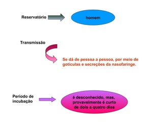 Reservatório homem
Transmissão
Se dá de pessoa a pessoa, por meio de
gotículas e secreções da nasofaringe.
Período de
incubação
é desconhecido, mas,
provavelmente é curto
de dois a quatro dias
 