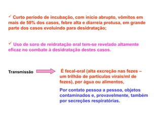  Curto período de incubação, com início abrupto, vômitos em
mais de 50% dos casos, febre alta e diarreia protusa, em grande
parte dos casos evoluindo para desidratação;
 Uso de soro de reidratação oral tem-se revelado altamente
eficaz no combate à desidratação destes casos.
Transmissão É fecal-oral (alta excreção nas fezes –
um trilhão de particulas virais/ml de
fezes), por água ou alimentos,
Por contato pessoa a pessoa, objetos
contaminados e, provavelmente, também
por secreções respiratórias.
 