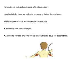 Validade: ver instruções de cada lote e laboratório
• Após diluição, deve ser aplicada no prazo máximo de seis horas,
• Desde que mantidos em temperatura adequada,
•Ccuidados com contaminação;
• Após este período a vacina diluída e não utilizada deve ser desprezada.
 
