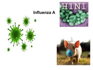 Influenza A
 