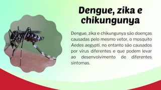 Dengue, zika e
chikungunya
Dengue, zika e chikungunya são doenças
causadas pelo mesmo vetor, o mosquito
Aedes aegypti, no entanto são causados
por vírus diferentes e que podem levar
ao desenvolvimento de diferentes
sintomas.
 