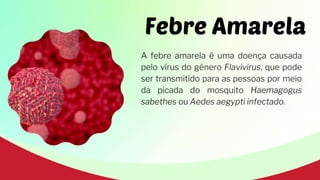 Febre Amarela
A febre amarela é uma doença causada
pelo vírus do gênero Flavivirus, que pode
ser transmitido para as pessoas por meio
da picada do mosquito Haemagogus
sabethes ou Aedes aegypti infectado.
 