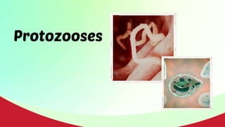 Protozooses
 