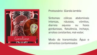 Protozoário: Giardia lamblia
Sintomas: cólicas abdominais
intensas, náuseas, vômitos,
diarreia aquosa ou fezes
gordurosas, flatulência, inchaço,
arrotos constantes, mal-estar;
Modo de transmissão: Água e
alimentos contaminados
 