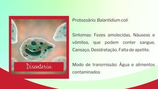 Protozoário: Balantidium coli
Sintomas: Fezes amolecidas, Náuseas e
vômitos, que podem conter sangue,
Cansaço, Desidratação, Falta de apetite.
Modo de transmissão: Água e alimentos
contaminados
 