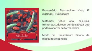 Protozoário: Plasmodium vivax; P.
malariae; P. falciparum
Sintomas: febre alta, calafrios,
tremores, sudorese, dor de cabeça, que
podem ocorrer de forma cíclica.
Modo de transmissão: Picada de
mosquito Anopheles
 