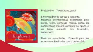 Protozoário: Toxoplasma gondii
Sintomas: Dor de cabeça e garganta,
Manchas avermelhadas espalhadas pelo
corpo, febre, confusão mental, perda da
coordenação motora, aumento do fígado e
do baço, aumento dos linfonodos,
convulsões;
Modo de transmissão: Fezes de gato que
estejam contaminadas com o protozoário.
 