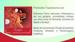 Protozoário: Trypanosoma cruzi
Sintomas: Febre, mal-estar, inflamação e
dor nos gânglios, vermelhidão, inchaço
nos olhos (sinal de Romanã), aumento do
fígado e do baço
Modo de transmissão: Picada de barbeiro
(Triatoma infestans e Panstrongylus
megistus)
 