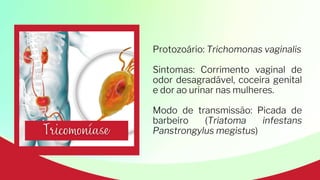 Protozoário: Trichomonas vaginalis
Sintomas: Corrimento vaginal de
odor desagradável, coceira genital
e dor ao urinar nas mulheres.
Modo de transmissão: Picada de
barbeiro (Triatoma infestans
Panstrongylus megistus)
 