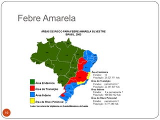 Febre Amarela




19
 