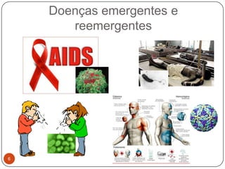 Doenças emergentes e
       reemergentes




6
 