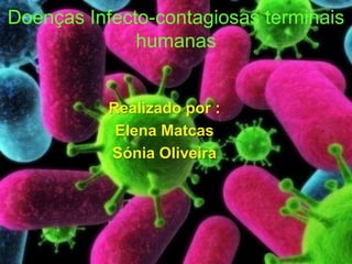 Doenças Infecto-contagiosas terminais humanas Realizado por :  Elena Matcas Sónia Oliveira 