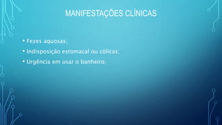 MANIFESTAÇÕES CLÍNICAS
• Fezes aquosas;
• Indisposição estomacal ou cólicas;
• Urgência em usar o banheiro;
 
