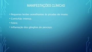 MANIFESTAÇÕES CLÍNICAS
• Pequenas lesões semelhantes ás picadas de inseto;
• Comichão intensa;
• Febre;
• Inflamação dos gânglios do pescoço;
 