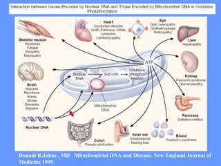 Donald R.Johns , MD . Mitochondrial DNA and Disease. New England Journal of Medicine 1995. 