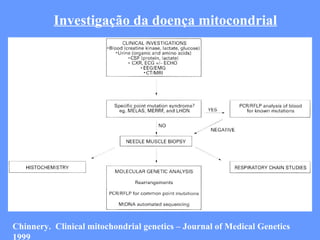 Investigação da doença mitocondrial Chinnery.  Clinical mitochondrial genetics – Journal of Medical Genetics 1999 