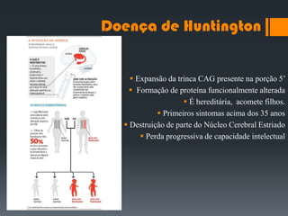Doença de Huntington
 Expansão da trinca CAG presente na porção 5‟
 Formação de proteína funcionalmente alterada
 É hereditária, acomete filhos.
 Primeiros sintomas acima dos 35 anos
 Destruição de parte do Núcleo Cerebral Estriado
 Perda progressiva de capacidade intelectual
 