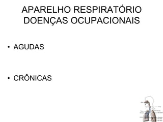 APARELHO RESPIRATÓRIO
DOENÇAS OCUPACIONAIS
• AGUDAS
• CRÔNICAS
 