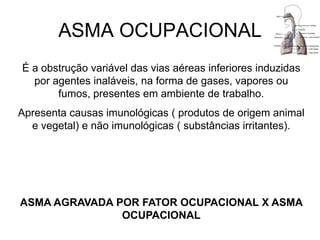 ASMA OCUPACIONAL
É a obstrução variável das vias aéreas inferiores induzidas
por agentes inaláveis, na forma de gases, vapores ou
fumos, presentes em ambiente de trabalho.
Apresenta causas imunológicas ( produtos de origem animal
e vegetal) e não imunológicas ( substâncias irritantes).
ASMA AGRAVADA POR FATOR OCUPACIONAL X ASMA
OCUPACIONAL
 
