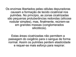 Os enzimas libertados pelas células depuradoras
causam a formação de tecido cicatricial nos
pulmões. No princípio, as zonas cicatrizadas
são pequenas protuberâncias redondas (silicose
nodular simples), mas, finalmente, reúnem-se
em grandes massas (conglomerados
silicóticos).
Estas áreas cicatrizadas não permitem a
passagem do oxigênio para o sangue de forma
normal. Assim os pulmões perdem elasticidade
e requer-se mais esforço para respirar.
 