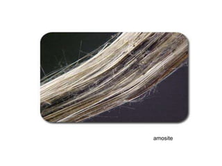 amosite
 