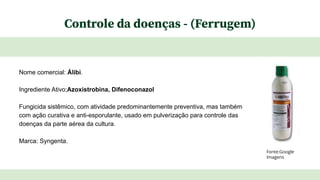 Controle da doenças - (Ferrugem)
Nome comercial: Álibi.
Ingrediente Ativo;Azoxistrobina, Difenoconazol
Fungicida sistêmico, com atividade predominantemente preventiva, mas também
com ação curativa e anti-esporulante, usado em pulverização para controle das
doenças da parte aérea da cultura.
Marca: Syngenta.
Fonte:Google
Imagens
 