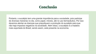 Conclusão
Portanto, o eucalipto tem uma grande importância para a sociedade, pois participa
de diversas maneiras no dia, como papel, móveis, até no uso farmacêutico. Por isso
devemos atentar as doenças que prejudiquem a produção do eucalipto para que
não haja impactos negativos na sociedade. Além disso, o eucalipto é a madeira
mais exportada do Brasil, sendo assim, está presente na economia.
 