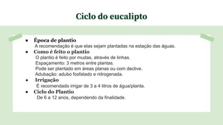 Ciclo do eucalipto
● Época de plantio
A recomendação é que elas sejam plantadas na estação das águas.
● Como é feito o plantio
O plantio é feito por mudas, através de linhas.
Espaçamento: 3 metros entre plantas.
Pode ser plantado em áreas planas ou com declive.
Adubação: adubo fosfatado e nitrogenada.
● Irrigação
É recomendado irrigar de 3 a 4 litros de água/planta.
● Ciclo do Plantio
De 6 a 12 anos, dependendo da finalidade.
 