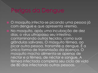  O mosquito infecta-se picando uma pessoa já
com dengue e que apresenta viremia.
 No mosquito, após uma incubação de dez
dias, o vírus ultrapassa seu intestino,
contaminando outros tecidos, como suas
glândulas salivares. O mosquito fêmea, ao
picar outra pessoa, transmite a dengue. É a
única forma de transmissão da doença. O
mosquito macho alimenta-se apenas de
néctar e a fêmea, de néctar e sangue. A
fêmea infectada completa seu ciclo de vida
de 80 dias infectando outras pessoas.
 