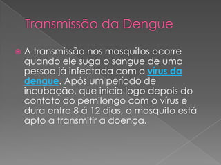 A transmissão nos mosquitos ocorre
quando ele suga o sangue de uma
pessoa já infectada com o vírus da
dengue. Após um período de
incubação, que inicia logo depois do
contato do pernilongo com o vírus e
dura entre 8 á 12 dias, o mosquito está
apto a transmitir a doença.
 
