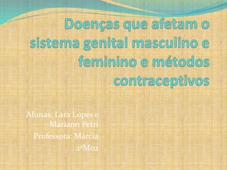 Alunas: Lara Lopes e
Mariann Petri
Professora: Márcia
2ºM02
 