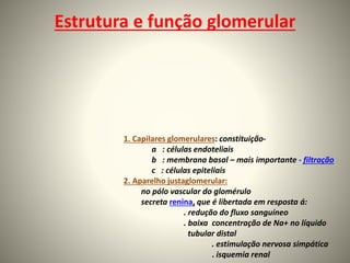 Estrutura e função glomerular
1. Capilares glomerulares: constituição-
a : células endoteliais
b : membrana basal – mais importante - filtração
c : células epiteliais
2. Aparelho justaglomerular:
no pólo vascular do glomérulo
secreta renina, que é libertada em resposta á:
. redução do fluxo sanguíneo
. baixa concentração de Na+ no líquido
tubular distal
. estimulação nervosa simpática
. isquemia renal
 