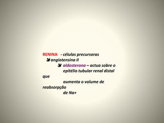 RENINA - células precursoras
 angiotensina II
 aldosterona – actua sobre o
epitélio tubular renal distal
que
aumenta o volume de
reabsorpção
de Na+
 