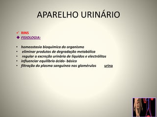 APARELHO URINÁRIO
 RINS
 FISIOLOGIA:
• homeostasia bioquímica do organismo
• eliminar produtos de degradação metabólica
• regular a excreção urinária de líquidos e electrólitos
• influenciar equilíbrio ácido- básico
• filtração do plasma sanguíneo nos glomérulos urina
 