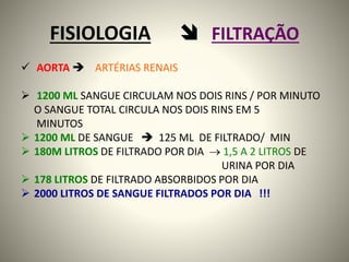 FISIOLOGIA  FILTRAÇÃO
 AORTA  ARTÉRIAS RENAIS
 1200 ML SANGUE CIRCULAM NOS DOIS RINS / POR MINUTO
O SANGUE TOTAL CIRCULA NOS DOIS RINS EM 5
MINUTOS
 1200 ML DE SANGUE  125 ML DE FILTRADO/ MIN
 180M LITROS DE FILTRADO POR DIA  1,5 A 2 LITROS DE
URINA POR DIA
 178 LITROS DE FILTRADO ABSORBIDOS POR DIA
 2000 LITROS DE SANGUE FILTRADOS POR DIA !!!
 