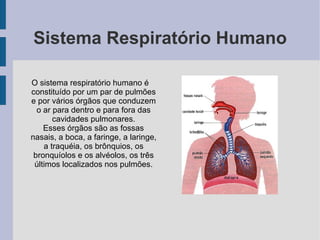 Sistema Respiratório Humano

O sistema respiratório humano é
constituído por um par de pulmões
e por vários órgãos que conduzem
  o ar para dentro e para fora das
       cavidades pulmonares.
    Esses órgãos são as fossas
nasais, a boca, a faringe, a laringe,
    a traquéia, os brônquios, os
 bronquíolos e os alvéolos, os três
 últimos localizados nos pulmões.
 