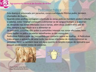 DoençAs Sexualmente..