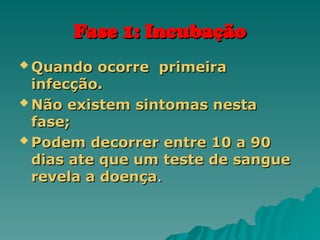 Fase 1: Incubação
Fase 1: Incubação
 Quando ocorre primeira
Quando ocorre primeira
infecção.
infecção.
 Não existem sintomas nesta
Não existem sintomas nesta
fase;
fase;
 Podem decorrer entre 10 a 90
Podem decorrer entre 10 a 90
dias ate que um teste de sangue
dias ate que um teste de sangue
revela a doença
revela a doença.
.
 
