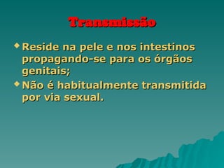 Transmissão
Transmissão
 Reside na pele e nos intestinos
Reside na pele e nos intestinos
propagando-se para os órgãos
propagando-se para os órgãos
genitais;
genitais;
 Não é habitualmente transmitida
Não é habitualmente transmitida
por via sexual.
por via sexual.
 