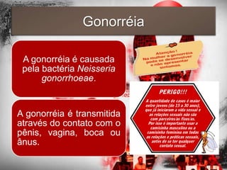 Gonorréia

 A gonorréia é causada
 pela bactéria Neisseria
      gonorrhoeae.


A gonorréia é transmitida
através do contato com o
pênis, vagina, boca ou
ânus.
 