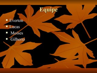 Equipe Everton  Lucas Moises Gilberto 