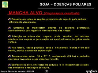 Suporte Técnico ao Mercado – 2003/04
SOJA – DOENÇAS FOLIARES
Presente em todas as regiões produtoras de soja do país embora
dificilmente visualizada.
Sintomas se manifestam através de desfolha prematura,
apodrecimento das vagens e manchamento nas hastes.
Infecção na sutura das vagens pode resultar em necrose,
abertura das vagens e germinação ou apodrecimento de grãos ainda
verdes.
Nas raízes, causa podridão seca e em plantas mortas e em solo
úmido, produz abundante esporulação.
Temperaturas entre 18 e 21º C, molhamento (24 hs) e períodos
chuvosos favorecem o seu desenvolvimento.
Sobrevive no solo, em restos de culturas e é disseminado através
das sementes e respingos de chuva.
MANCHA ALVO (Corynespora cassiicola)
 