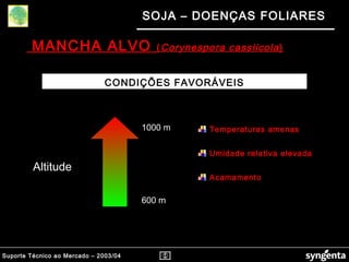 Suporte Técnico ao Mercado – 2003/04
SOJA – DOENÇAS FOLIARES
CONDIÇÕES FAVORÁVEIS
600 m
1000 m Temperaturas amenas
Umidade relativa elevada
Acamamento
Altitude
MANCHA ALVO (Corynespora cassiicola)
 