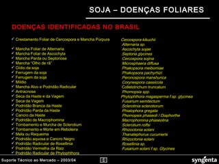 Suporte Técnico ao Mercado – 2003/04
SOJA – DOENÇAS FOLIARES
 Crestamento Foliar de Cercospora e Mancha Púrpura
 Mancha Foliar de Alternaria
 Mancha Foliar de Ascochyta
 Mancha Parda ou Septoriose
 Mancha “Olho de rã”
 Oídio da soja
 Ferrugem da soja
 Ferrugem da soja
 Míldio
 Mancha Alvo e Podridão Radicular
 Antracnose
 Seca da Haste e da Vagem
 Seca da Vagem
 Podridão Branca da Haste
 Podridão Parda da Haste
 Cancro da Haste
 Podridão de Macrophomina
 Tombamento e Murcha de Sclerotium
 Tombamento e Morte em Reboleira
 Mela ou Requeima
 Podridão aquosa e Cancro Negro
 Podridão Radicular de Rosellinia
 Podridão Vermelha da Raiz
 Podridão Radicular de Phytophthora
Cercospora kikuchii
Alternaria sp.
Ascochyta sojae
Septoria glycines
Cercospora sojina
Microsphaera diffusa
Phakopsora meibomiae
Phakopsora pachyrhizi
Peronospora manshurica
Corynespora cassiicola
Colletotrichum truncatum
Phomopsis spp.
Phytophthora magasperma f.sp. glycinea
Fusarium semitectum
Sclerotinia sclerotiorum
Phialophora gregata
Phomopsis phaseoli / Diaphorthe
Macrophomina phaseolina
Sclerotium rolfsi
Rhizoctonia solani
Thanatephorus cucumeris
Rhizoctonia solani
Rosellinia sp.
Fusarium solani f.sp. Glycines
DOENÇAS IDENTIFICADAS NO BRASIL
 