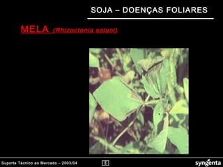 Suporte Técnico ao Mercado – 2003/04
SOJA – DOENÇAS FOLIARES
MELA (Rhizoctonia solani)(Rhizoctonia solani)
 