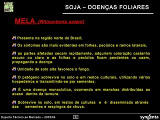 Suporte Técnico ao Mercado – 2003/04
SOJA – DOENÇAS FOLIARES
Presente na região norte do Brasil;
Os sintomas são mais evidentes em folhas, pecíolos e ramos laterais,
as partes afetadas secam rapidamente, adquirem coloração castanho
escuro ou claro e as folhas e pecíolos ficam pendentes ou caem,
propagando a doença.
Umidade de solo alta favorece o fungo.
O patógeno sobrevive no solo e em restos culturais, utilizando vários
hospedeiros e transmitindo-se por sementes.
É uma doença monocíclica, ocorrendo em manchas distribuídas ao
acaso dentro da lavoura.
Sobrevive no solo, em restos de culturas e é disseminado através
das sementes e respingos de chuva.
MELA (Rhizoctonia solani)(Rhizoctonia solani)
 