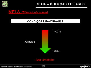 Suporte Técnico ao Mercado – 2003/04
SOJA – DOENÇAS FOLIARES
CONDIÇÕES FAVORÁVEIS
400 m
1000 m
Alta Umidade
Altitude
MELA (Rhizoctonia solani)(Rhizoctonia solani)
??
??
??
??
??
 