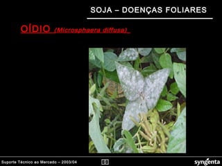 Suporte Técnico ao Mercado – 2003/04
SOJA – DOENÇAS FOLIARES
OÍDIO (Microsphaera diffusa)(Microsphaera diffusa)
 